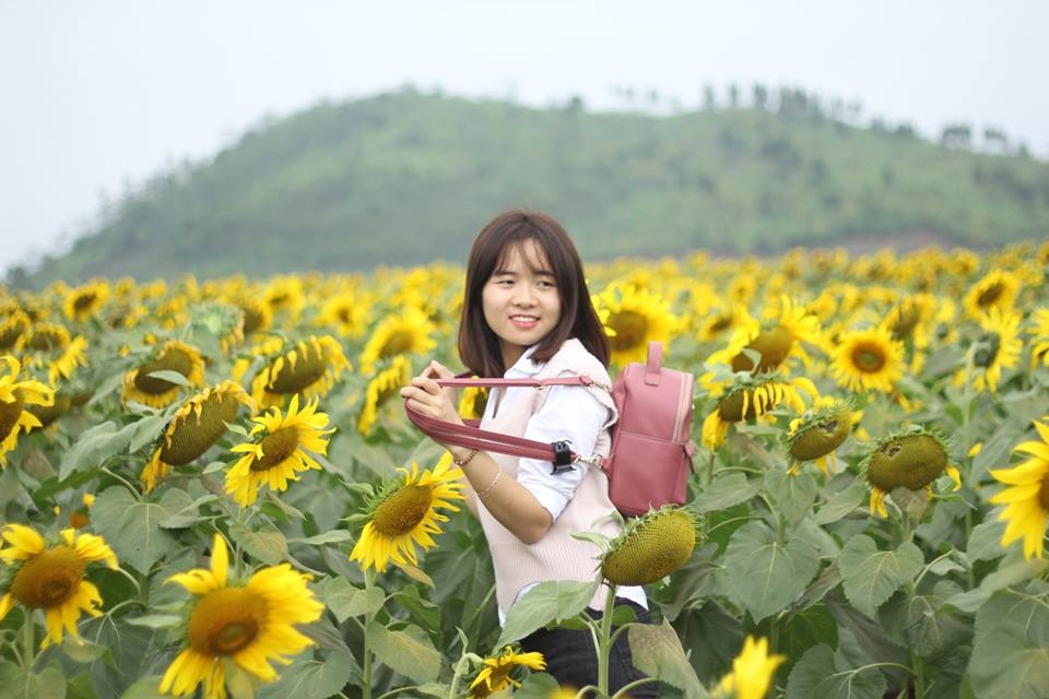 khong khi nhon nhip trong ngay le hoi hoa huong duong