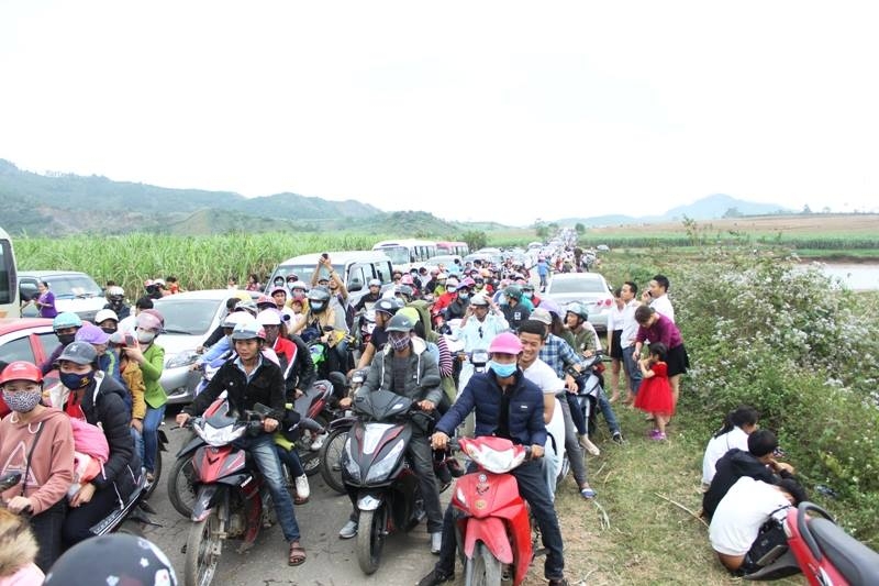 khong khi nhon nhip trong ngay le hoi hoa huong duong