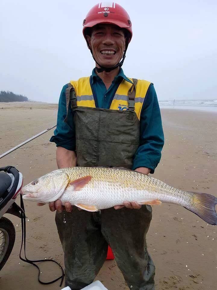ngu dan cau duoc ca nghi su vang quy hiem khach tra gan nua ty chua ban