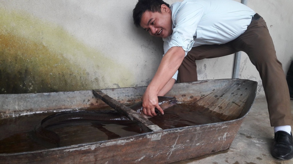 nguoi dan phong sinh ca chinh khung dai hon 1m