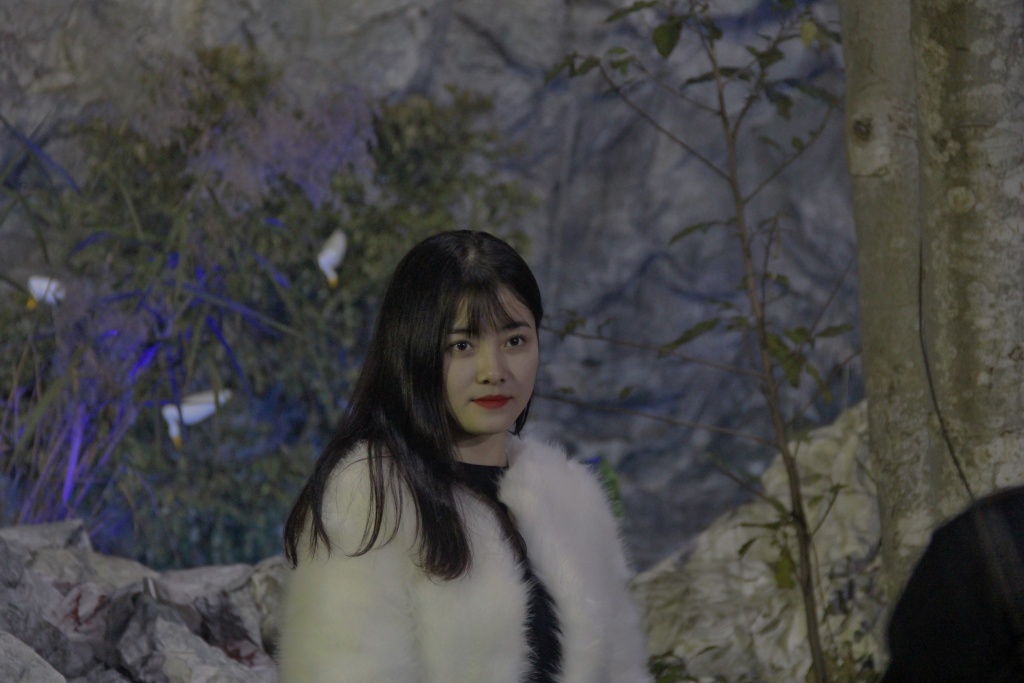 hang ngan nguoi chen chan xem hang da khung chao don giang sinh o ha tinh
