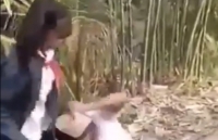 truong thong tin vu nu sinh danh nhau bang mu bao hiem