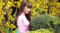 thoi tiet tet nguyen dan 2019 cac khu vuc tren ca nuoc