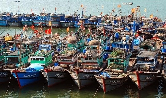tin bao moi nhat bao so 1 huong thang ca mau voi suc gio giat cap 10