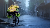 ha noi dac quanh suong mu cao oc mat hut