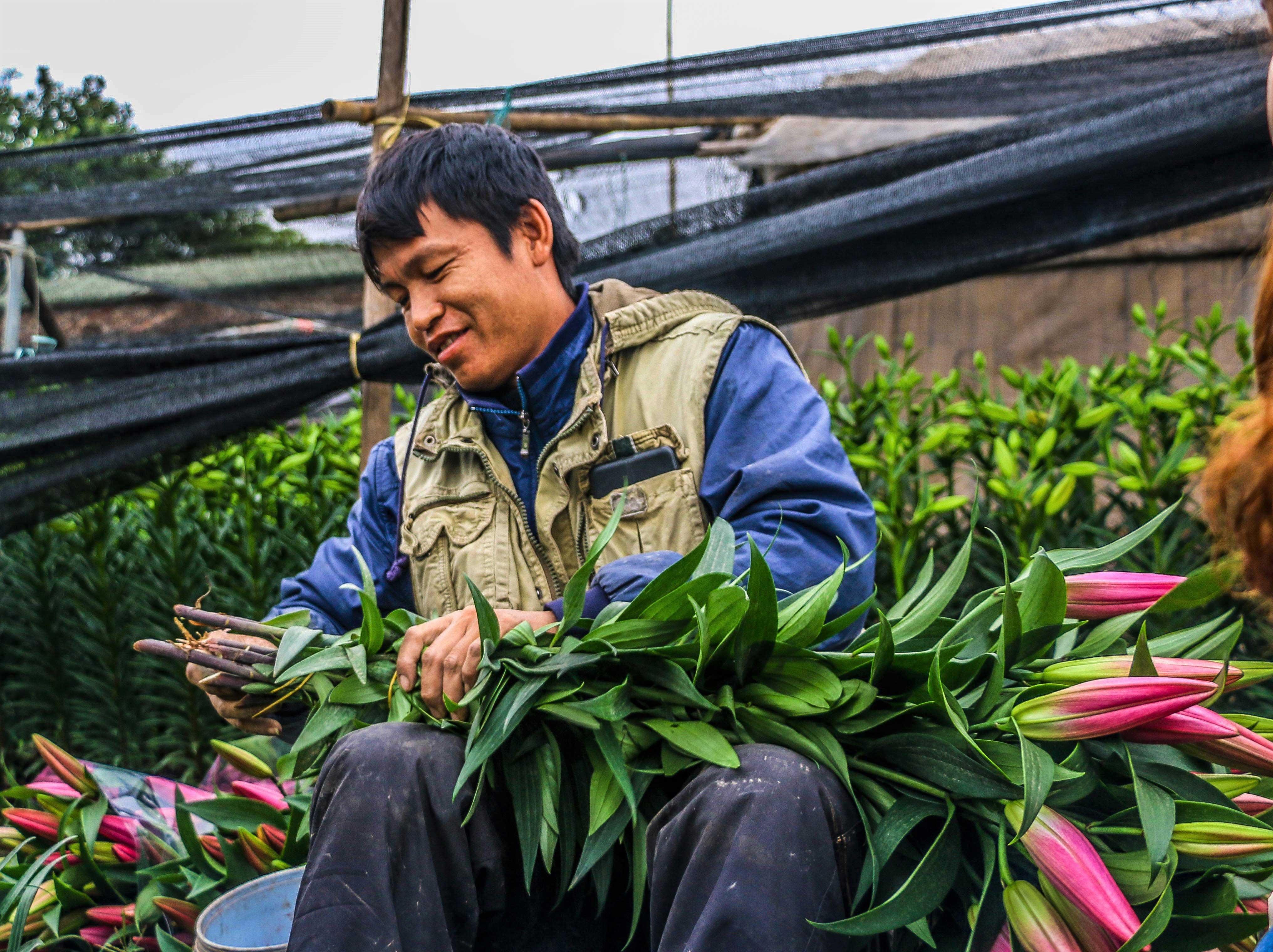 truoc tet nguyen dan 2019 hoa ly ha noi da no nong dan ban thao gia bang mot nua