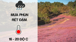 Dự báo thời tiết ngày mai 19/1: Miền Bắc ấm trước khi đón đợt không khí lạnh mới