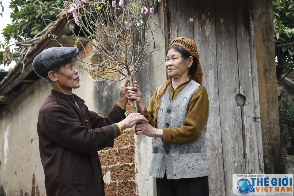 Phong tục gói bánh chưng đón Tết sớm ở một làng cổ ven đô phong tuc goi banh chung don tet som o mot lang co ven do