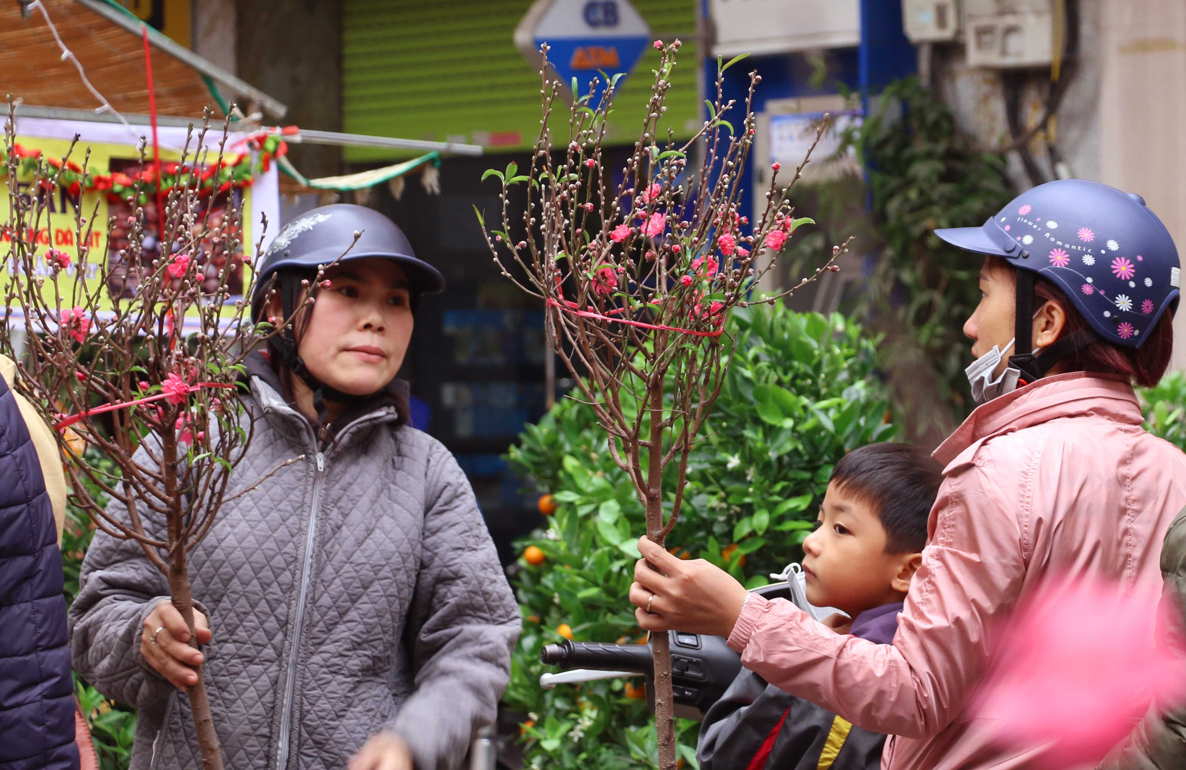 Đón Tết Nguyên đán 2019 sớm ở chợ hoa lâu đời nhất Hà Nội don tet nguyen dan 2019 som o cho hoa lau doi nhat ha noi