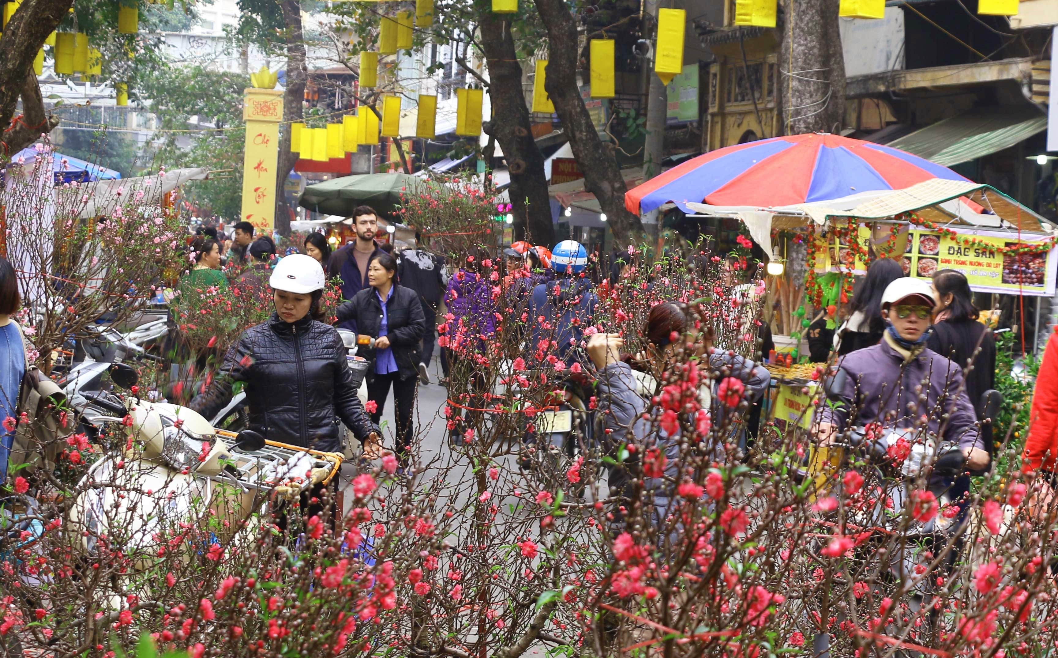 Đón Tết Nguyên đán 2019 sớm ở chợ hoa lâu đời nhất Hà Nội don tet nguyen dan 2019 som o cho hoa lau doi nhat ha noi