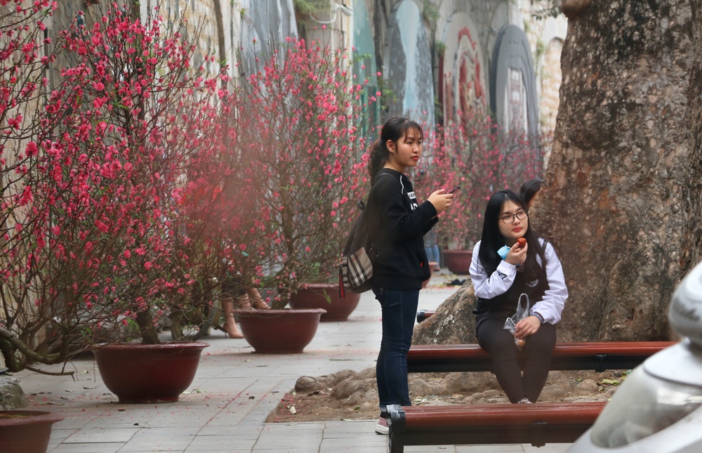 Đón Tết Nguyên đán 2019 sớm ở chợ hoa lâu đời nhất Hà Nội don tet nguyen dan 2019 som o cho hoa lau doi nhat ha noi
