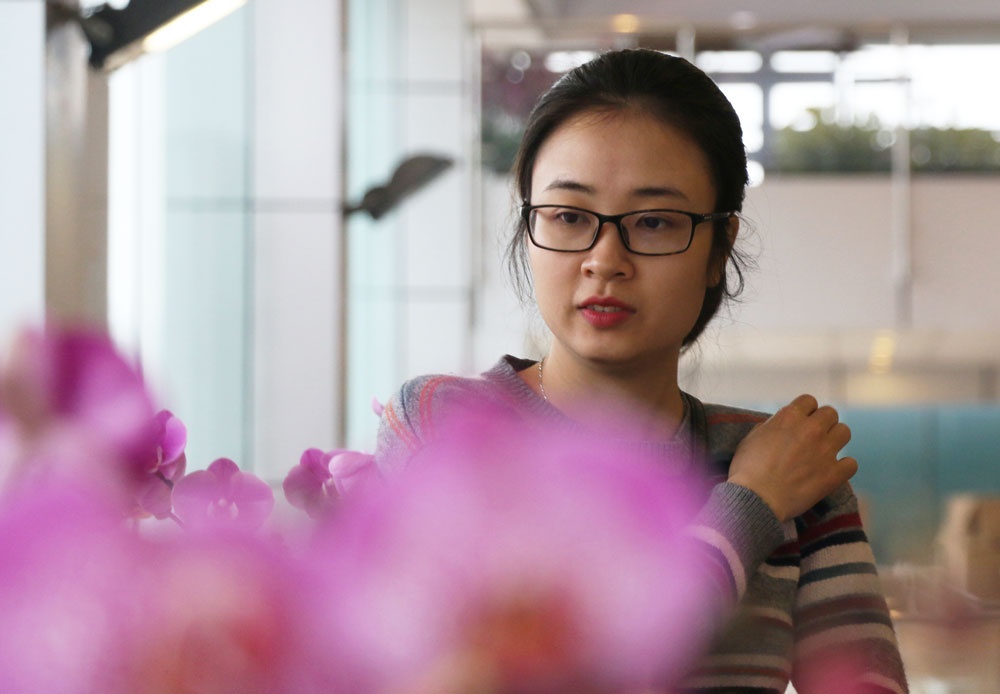 chau lan ho diep sieu khung cao hai met co gia gan 300 trieu dong thoa man thu choi hoa cua dai gia