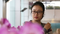 dem khong ngu o cho hoa lon nhat ha noi ngay sat tet nguyen dan 2019