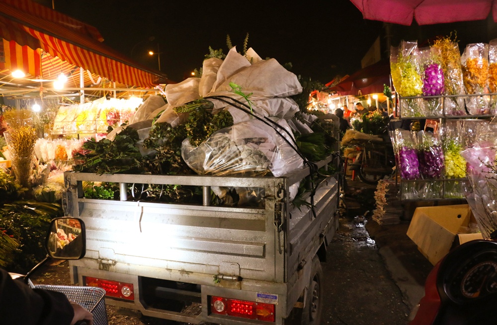 dem khong ngu o cho hoa lon nhat ha noi ngay sat tet nguyen dan 2019