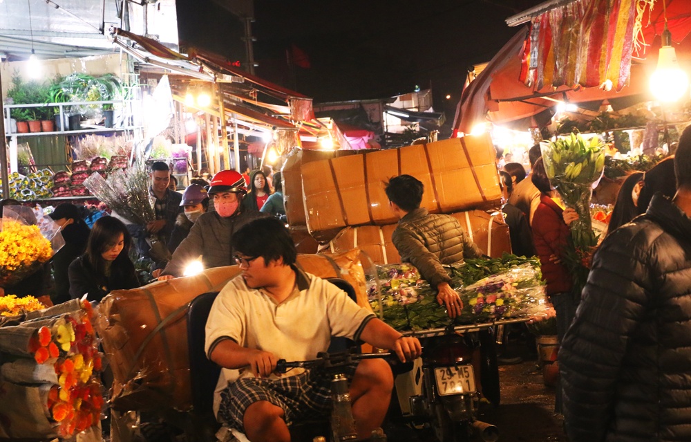 dem khong ngu o cho hoa lon nhat ha noi ngay sat tet nguyen dan 2019
