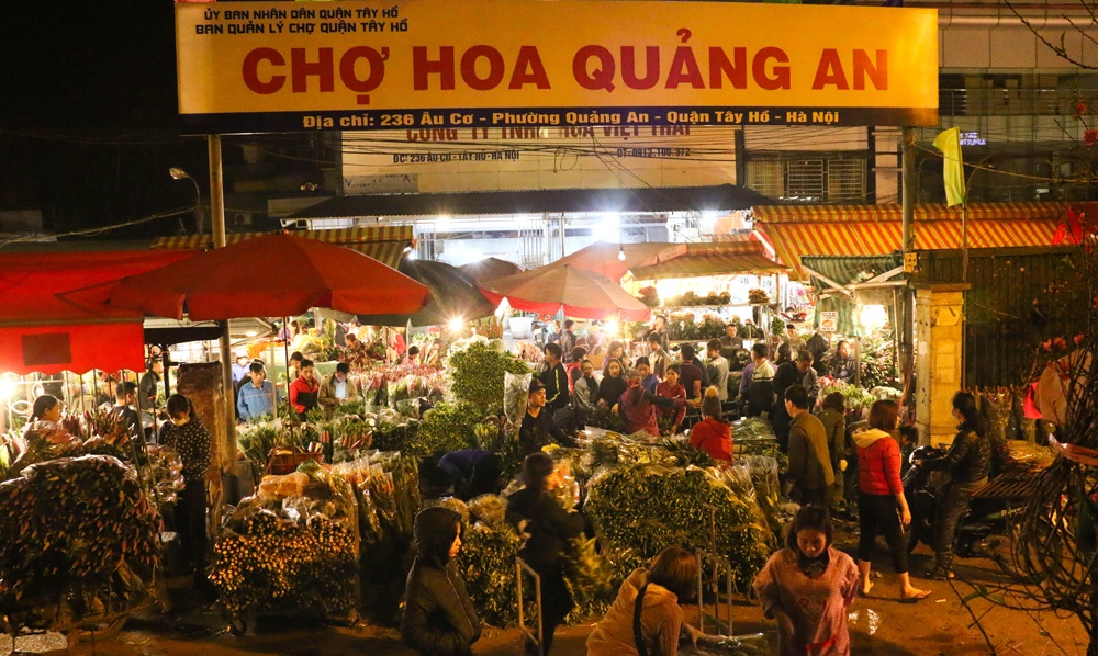 dem khong ngu o cho hoa lon nhat ha noi ngay sat tet nguyen dan 2019