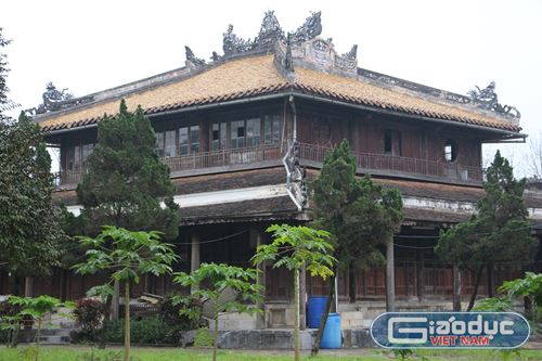 ngay tet tham truong dai hoc lon nhat nuoc cua trieu nguyen