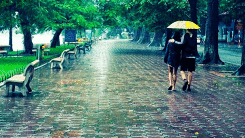 Dự báo thời tiết ngày mai 17/2: Miền Bắc mưa rào và dông, trời lạnh