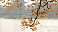 du bao thoi tiet hom nay 212 ha noi nang rat truoc khi don khong khi lanh