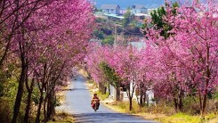Dự báo thời tiết ngày mai 25/2: Miền Bắc mưa rét 11 độ C