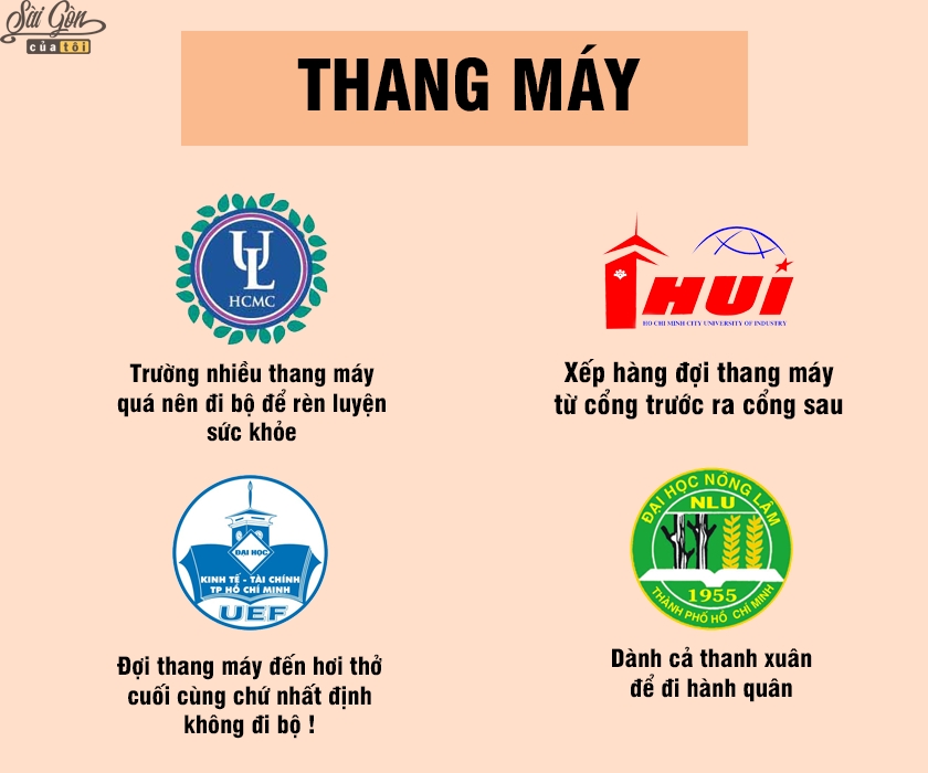 dan mang che anh hai huoc ve dac trung cac truong dai hoc o tphcm