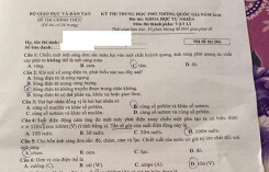 Đề thi THPT quốc gia 2018 môn Vật lý mã đề 206