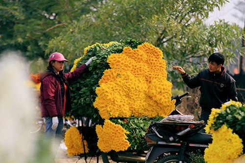 top dia chi mua hoa tuoi ngay 2011 vua re vua dep tai ha noi