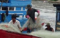 tin bao moi nhat 14h30 2411 chi con cach phan thiet 180 km