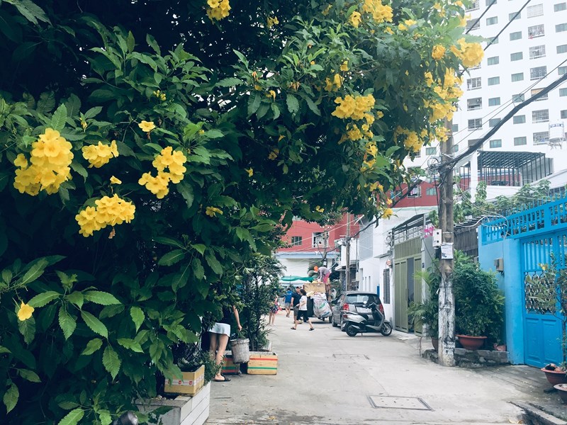 ngam tp hcm binh yen truoc thoi diem bao so 9 den