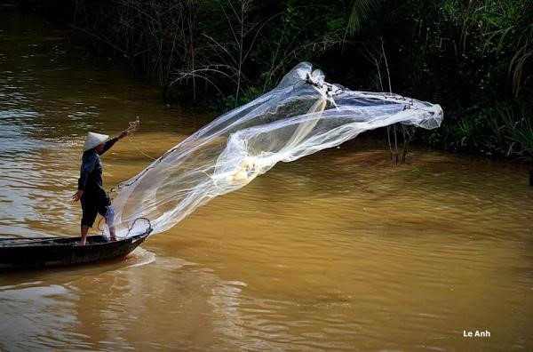 Mê mẩn 'đàn vịt tạo hình chữ S' của thầy giáo miền Tây me man dan vit tao hinh chu s cua thay giao mien tay