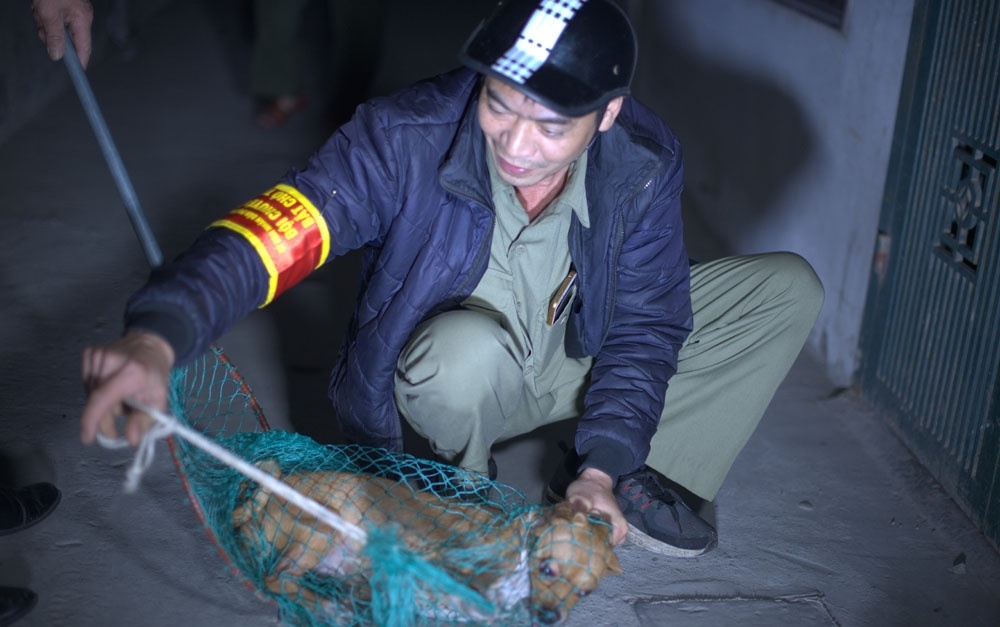 ha noi du kien gan chip dinh vi de quan ly gan 500 nghin cho nuoi