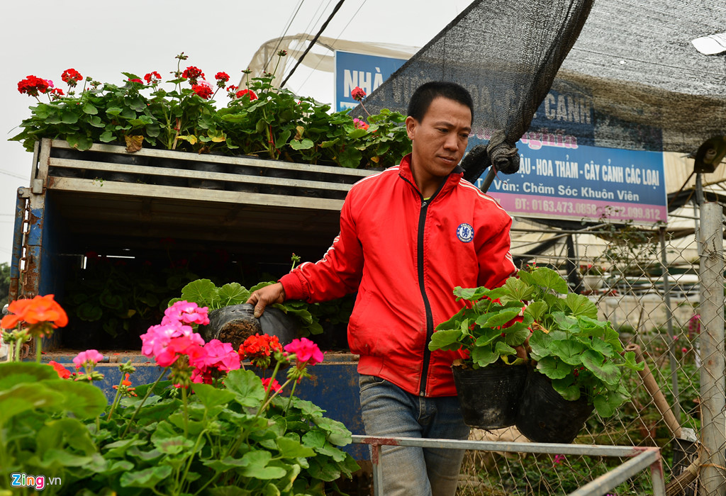 gia hoa giam dan van du kien thu tien ti dip giap tet