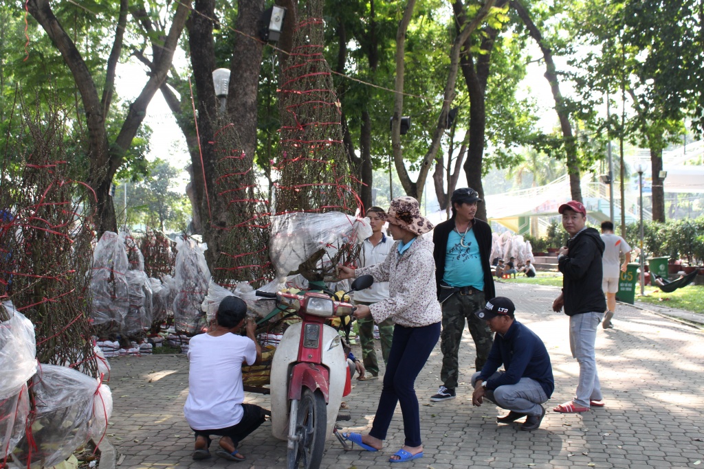 hoa kieng ca nuoc dao ha noi gia chuc trieu dong do ve sai gon choi tet
