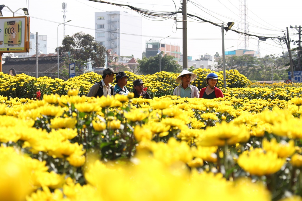 hoa kieng ca nuoc dao ha noi gia chuc trieu dong do ve sai gon choi tet