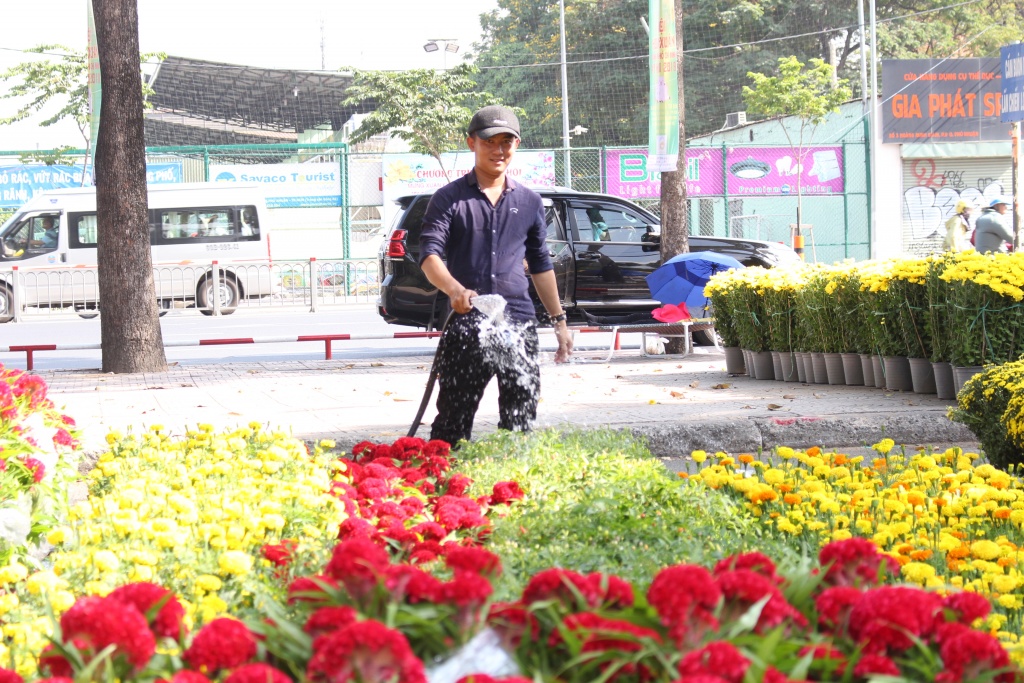 hoa kieng ca nuoc dao ha noi gia chuc trieu dong do ve sai gon choi tet