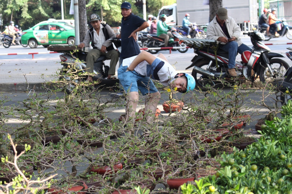 hoa kieng ca nuoc dao ha noi gia chuc trieu dong do ve sai gon choi tet