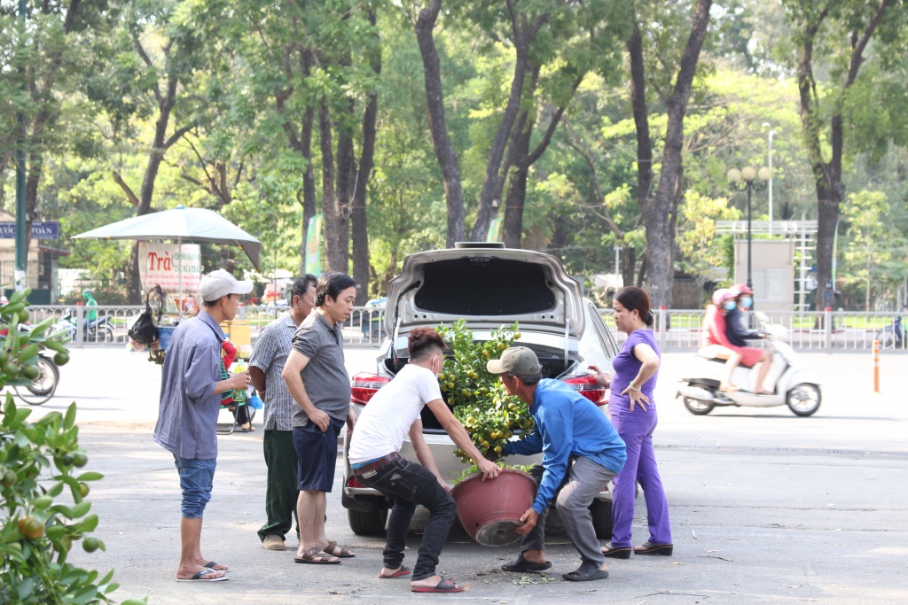 hoa kieng ca nuoc dao ha noi gia chuc trieu dong do ve sai gon choi tet