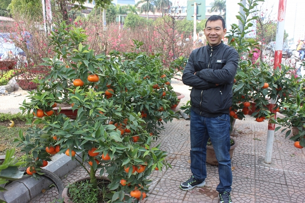 cam canh choi tet chat lu gia dat hon chi vang van duoc nguoi dan yeu thich