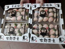 Gần triệu đồng một hộp dâu tây Bạch Tuyết 15 quả biếu Tết