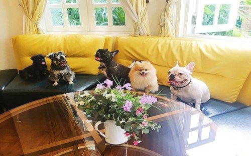 ngay tet nhieu dich vu tai ha noi tang gia gap 4 lan van dat khach