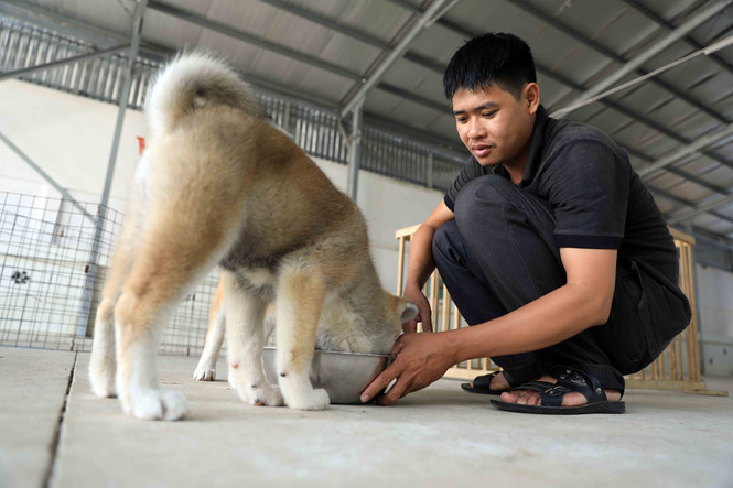 Hốt bạc ngày Tết nhờ nhận nuôi chó ký gửi hot bac ngay tet nho nhan nuoi cho ky gui