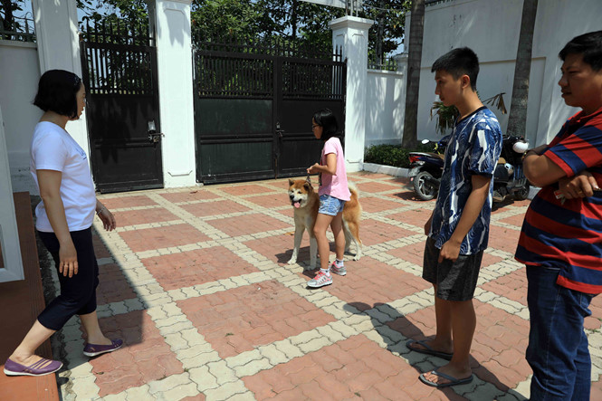 Hốt bạc ngày Tết nhờ nhận nuôi chó ký gửi hot bac ngay tet nho nhan nuoi cho ky gui