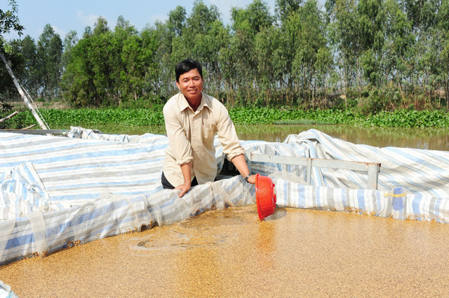 Từ nông dân bình thường trở thành tỷ phú lúa Nhật ở miền Tây tu nong dan binh thuong tro thanh ty phu lua nhat o mien tay