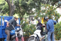 cho da nang 30 tet thit ca tang gia nhe hoa qua cung giao thua dat gia