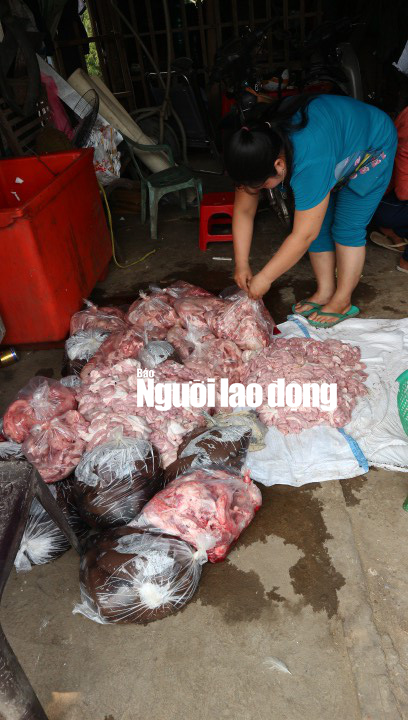 phat hoang voi hon 150 kg noi tang heo va huyet bo hoi thoi