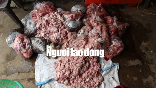 phat hoang voi hon 150 kg noi tang heo va huyet bo hoi thoi