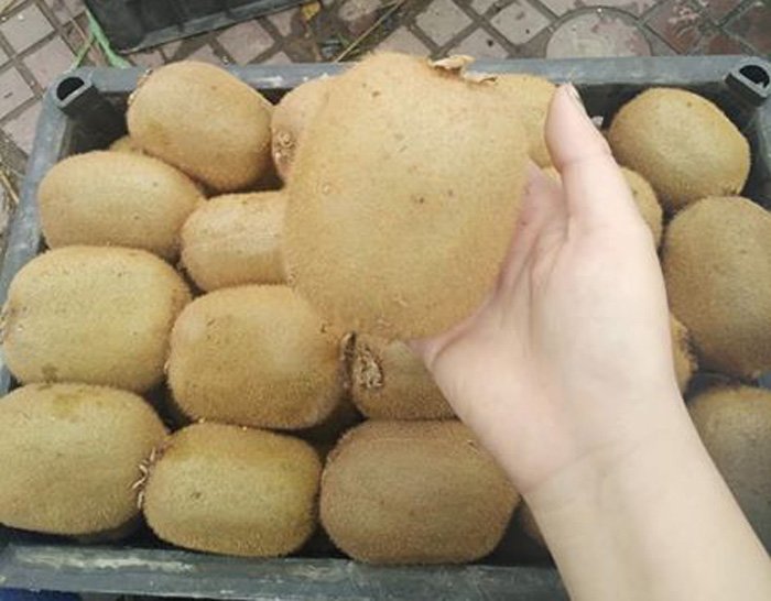 kiwi giai nhiet hang tau ngap tran bong nhien mat tich bi an