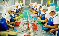 kenh thoat nuoc san bay tan son nhat bi lap de lam loi di