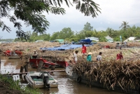 doanh nghiep mia duong dang la con no cua nguoi trong mia