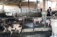 Chính sách mới có hiệu lực trong tháng 6